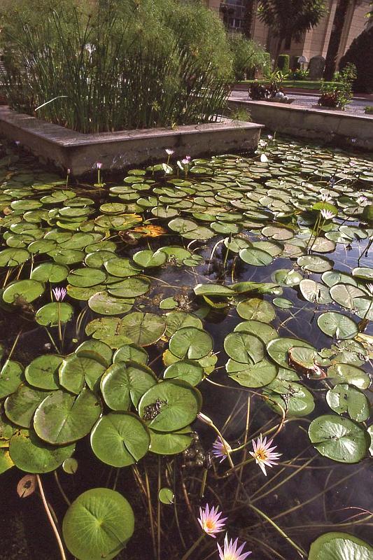 WT 1600 225-17 Egypt.jpg